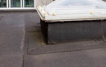 disadvantages of Vanlop flat roofs